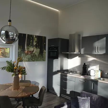 Forest-view Tiny House * Hoenderloo