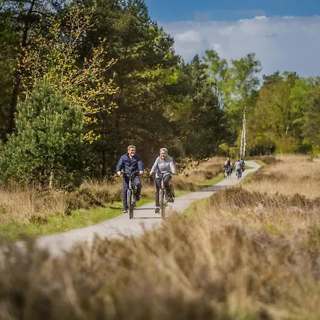 Forest-view Tiny House Semesterbostad