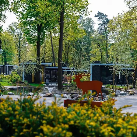 Forest-view Tiny House * Hoenderloo