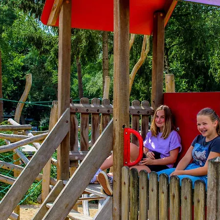 Forest-view Tiny House * Hoenderloo