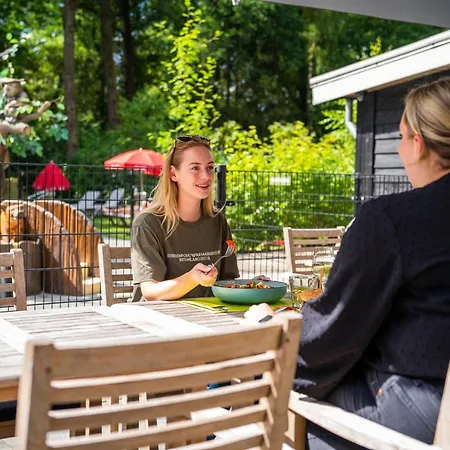 Forest-view Tiny House * Hoenderloo