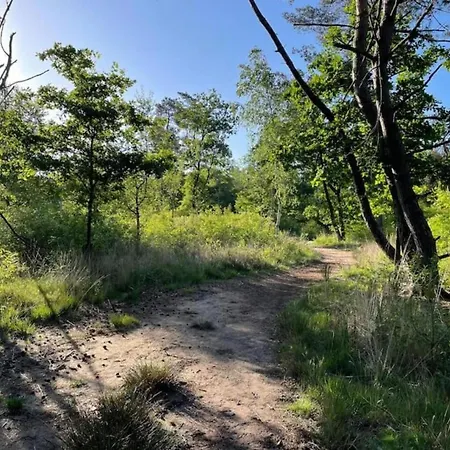 Semesterbostad Forest-view Tiny House *