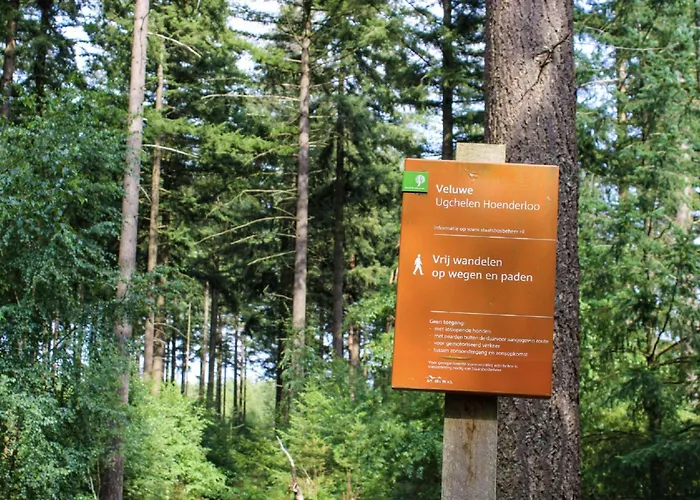 Forest-view Tiny House * هونديرلو