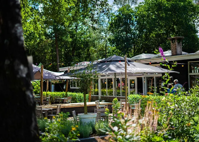 Forest-view Tiny House *