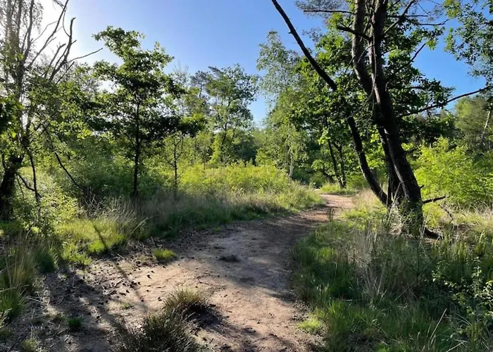 بيت للعطل Forest-view Tiny House *