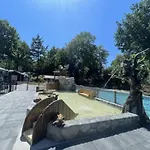 Forest-view Tiny House