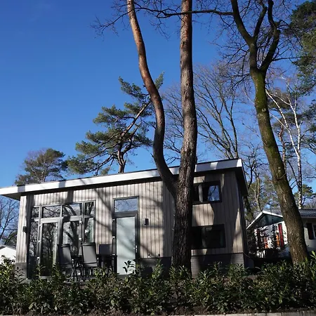 度假居 Forest-view Tiny House 霍德鲁