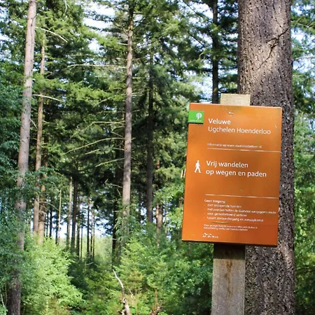 Forest-view Tiny House * 霍德鲁