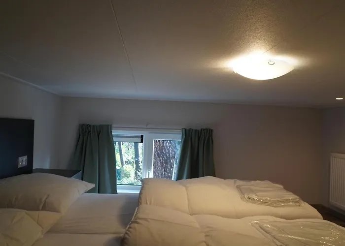 Forest-view Tiny House 霍德鲁