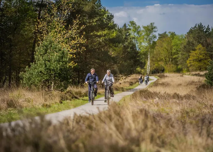 Forest-view Tiny House 度假居