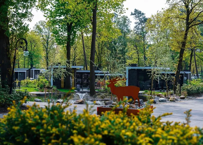 Forest-view Tiny House * 霍德鲁