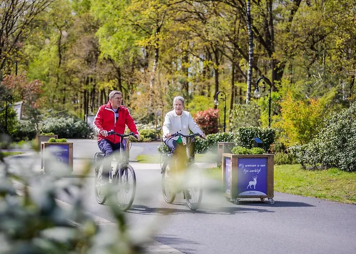 Forest-view Tiny House 霍德鲁